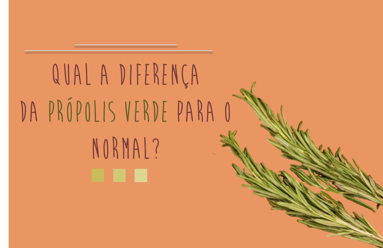Qual_a_diferença_da_própolis_verde_para_o_normal